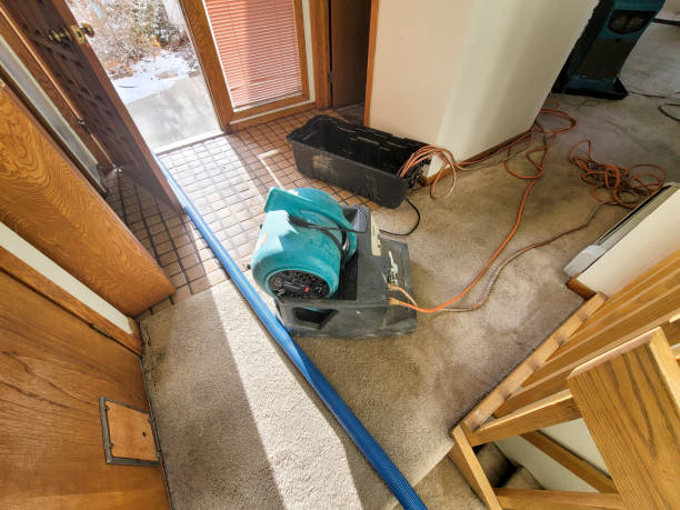 Best Water damage restoration services  in Fairwood, WA