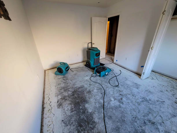 Best Flood restoration services  in Fairwood, WA