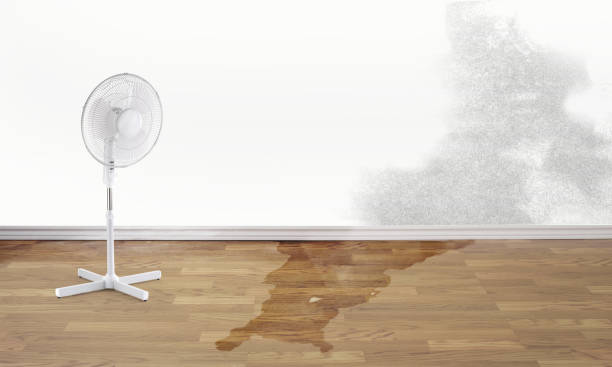Best Local water damage restoration  in Fairwood, WA