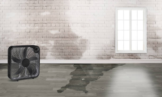 Reliable Fairwood, WA Water damage restoration Solutions