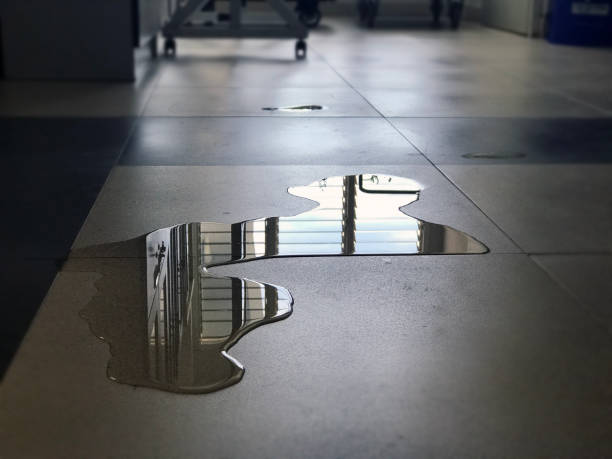 Water damage restoration insurance claims in Fairwood, WA