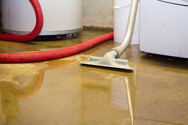 Best Water damage restoration near me  in Fairwood, WA
