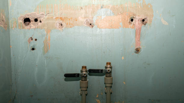 Best Flood damage cleanup  in Fairwood, WA