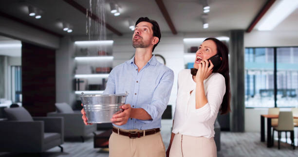 Best Fire Damage Restoration  in Fairwood, WA