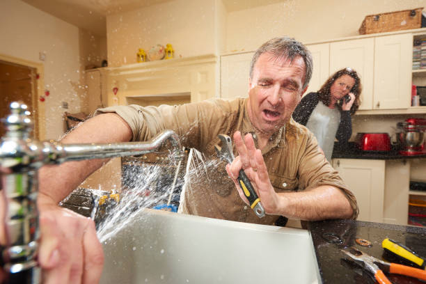 Best Professional water damage repair  in Fairwood, WA